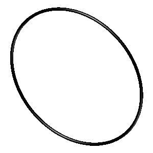 ISX Oring